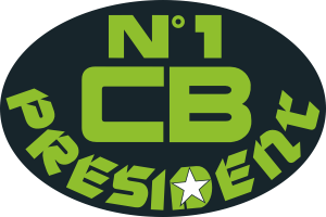 logo n1cb