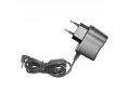 Chargeur Mural (110 / 220 V)